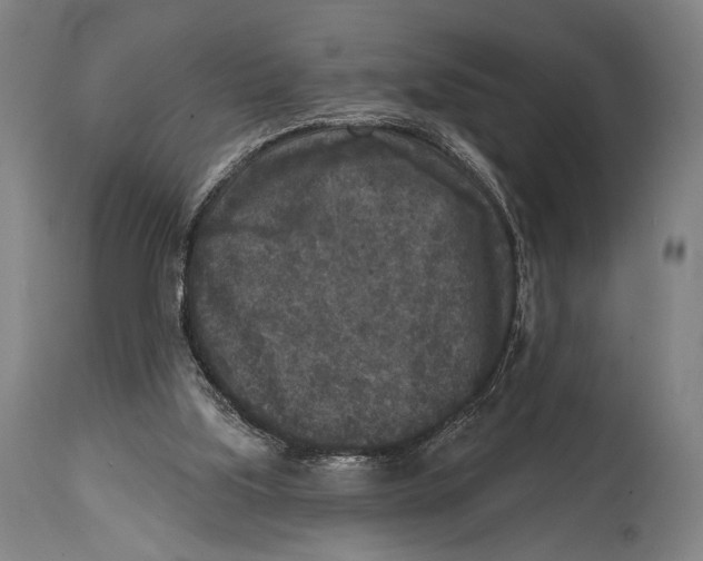 X0000114440059200911131525