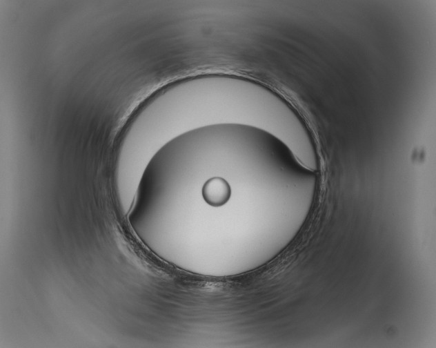 X0000114440060200911131525