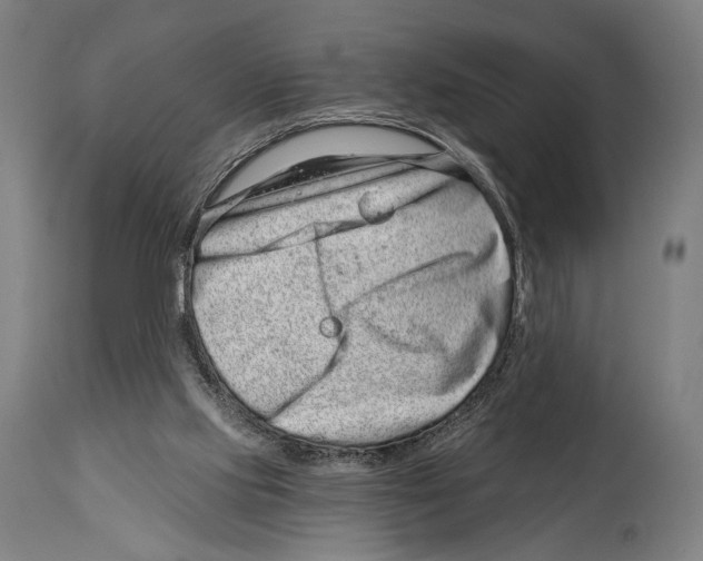 X0000114440061200911131525