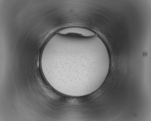 X0000114440062200911131525