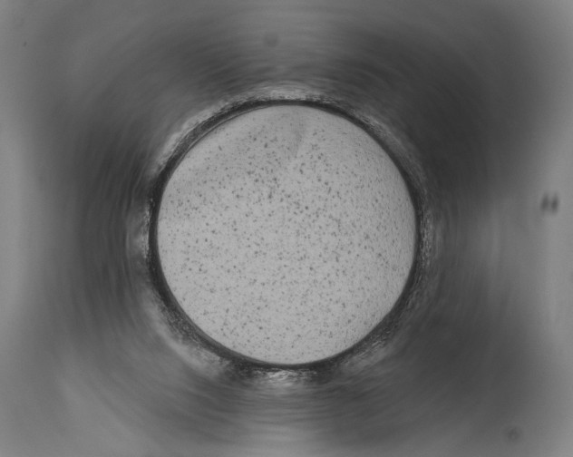 X0000114440064200911131525