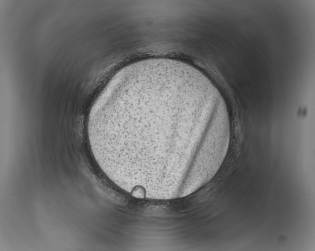 X0000114440066200911131525