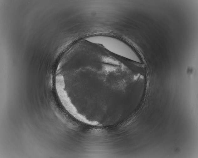 X0000114440067200911131525