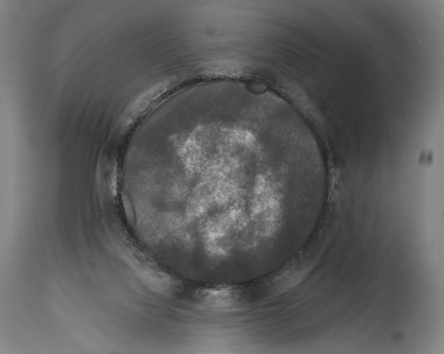 X0000114440068200911131525