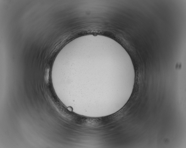 X0000114440070200911131525