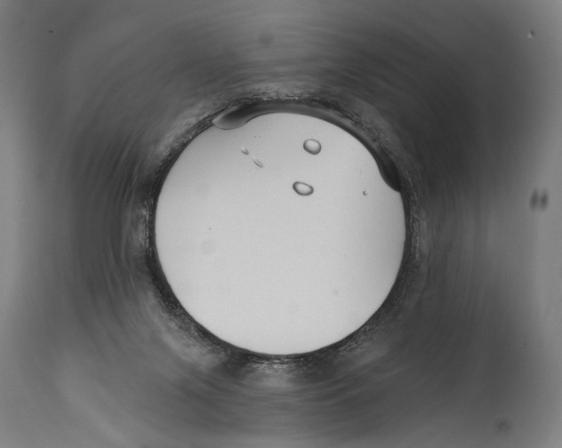 X0000114440071200911131525