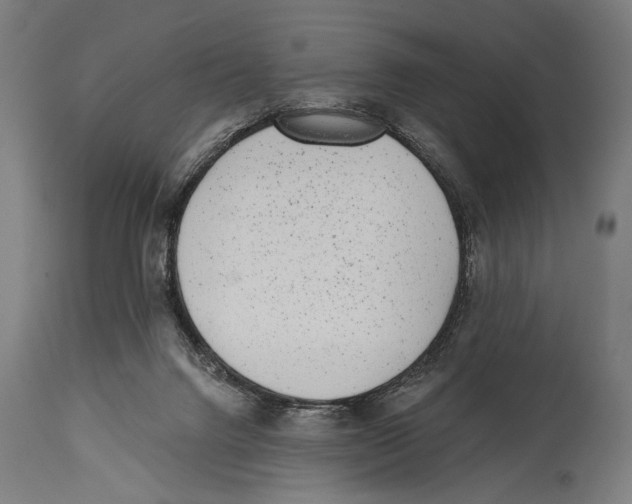 X0000114440072200911131525