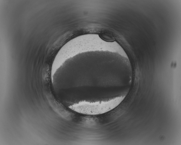 X0000114440073200911131525