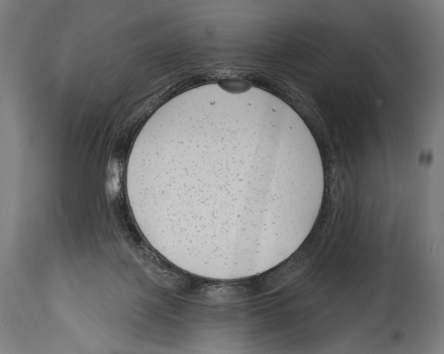 X0000114440075200911131525