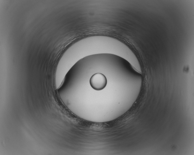 X0000114440076200911131525