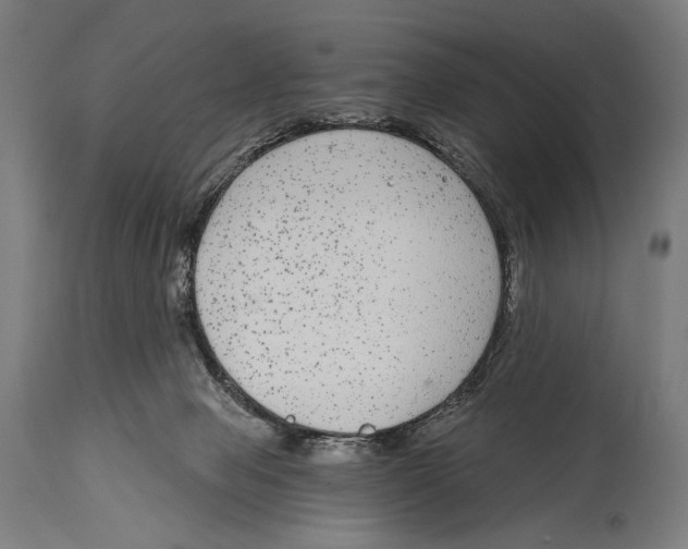 X0000114440077200911131525