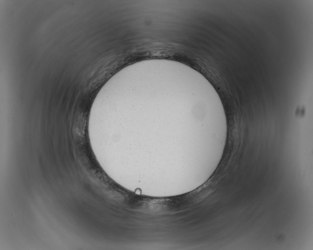X0000114440078200911131525