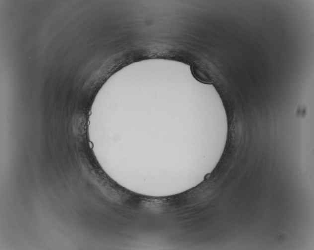 X0000114440079200911131525