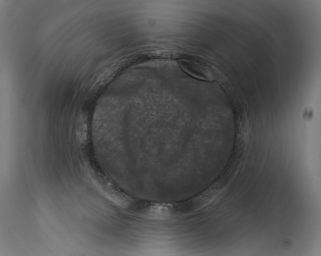 X0000114440080200911131525