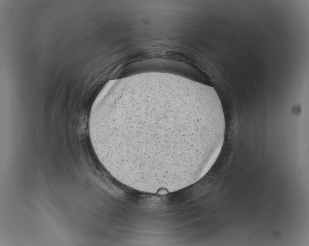 X0000114440081200911131525