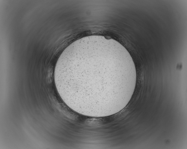 X0000114440082200911131525