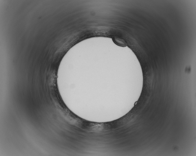 X0000114440083200911131525