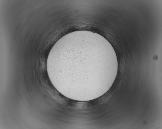 X0000114440085200911131525