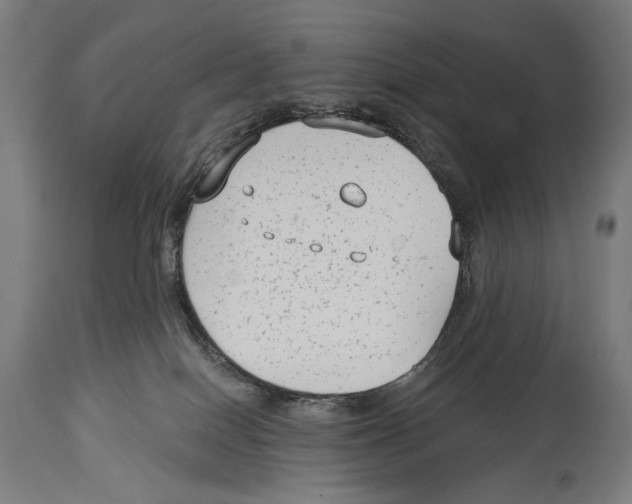X0000114440086200911131525