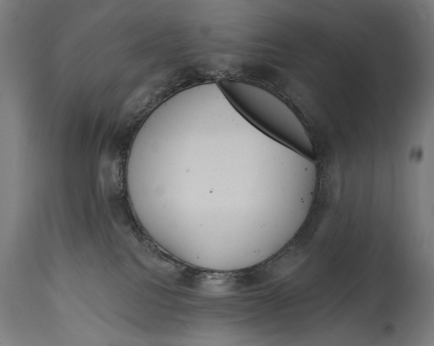 X0000114440088200911131525