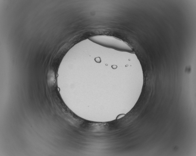 X0000114440089200911131525