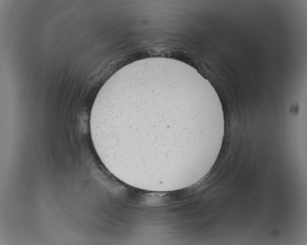 X0000114440090200911131525
