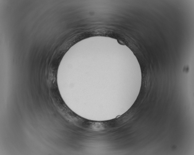 X0000114440091200911131525