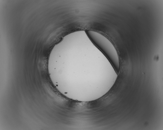 X0000114440092200911131525