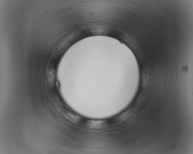 X0000114440093200911131525