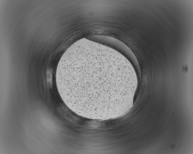 X0000114440094200911131525