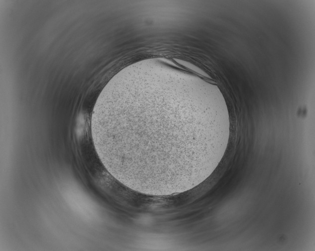 X0000114440095200911131525