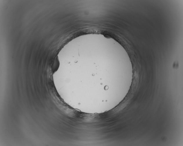 X0000114440096200911131525