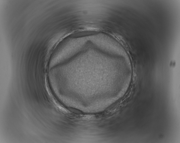 X0000114440097200911131525