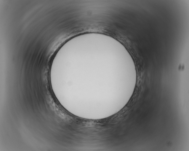 X0000114440098200911131525