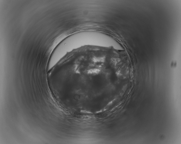 X0000114440099200911131525