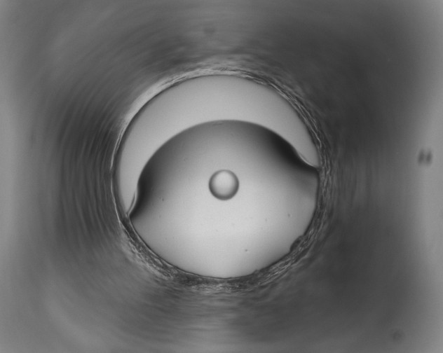 X0000114440100200911131524