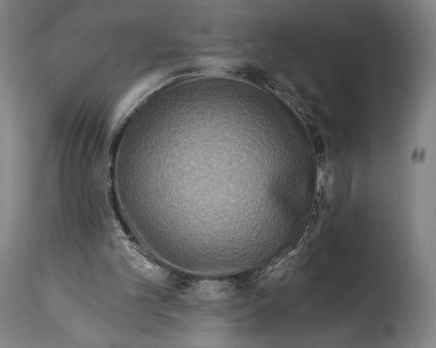 X0000114440101200911131524