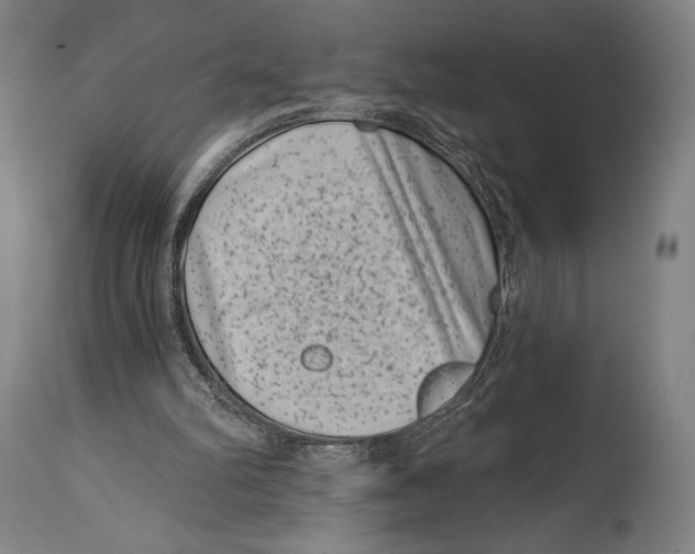 X0000114440102200911131524