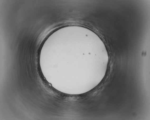 X0000114440103200911131524