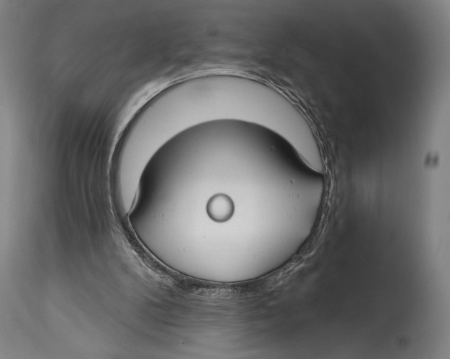 X0000114440104200911131524