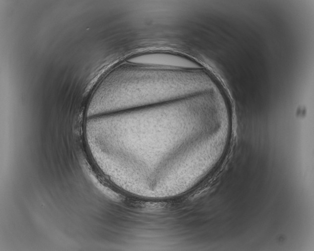 X0000114440105200911131524