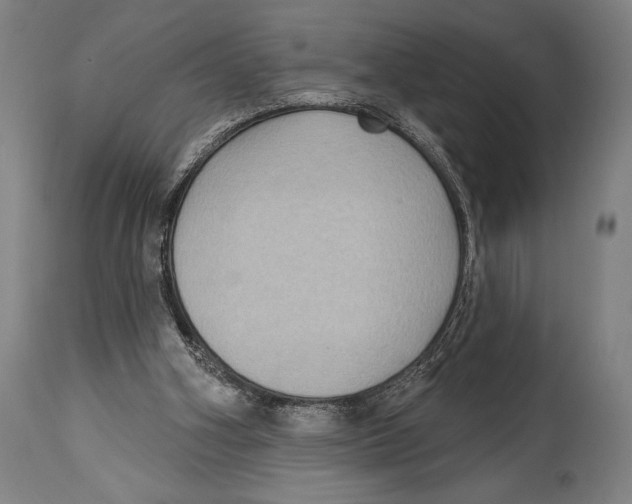 X0000114440106200911131524