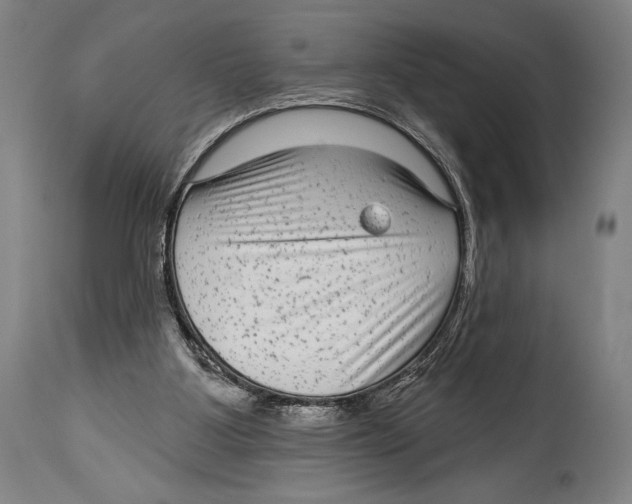 X0000114440107200911131524