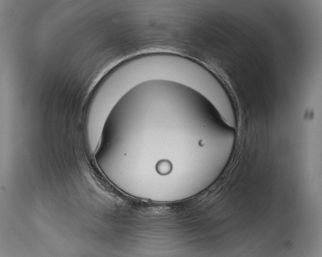 X0000114440108200911131524
