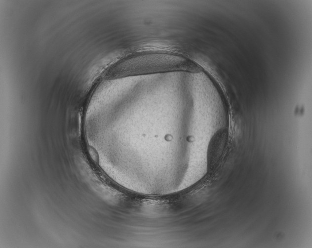 X0000114440109200911131524