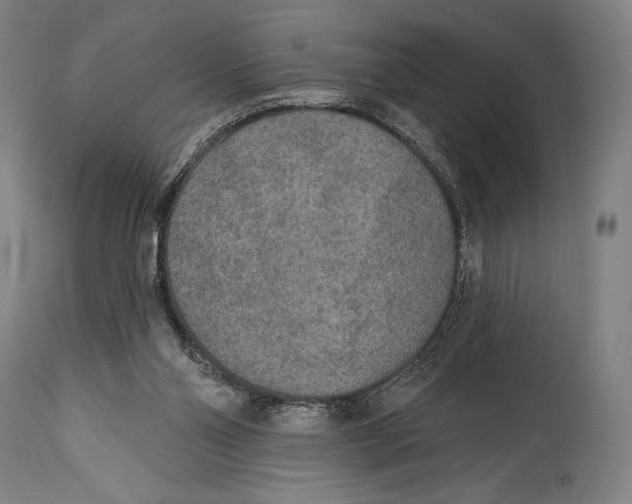X0000114440110200911131524
