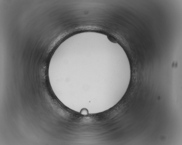 X0000114440111200911131524