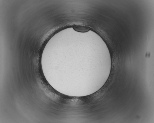 X0000114440112200911131524