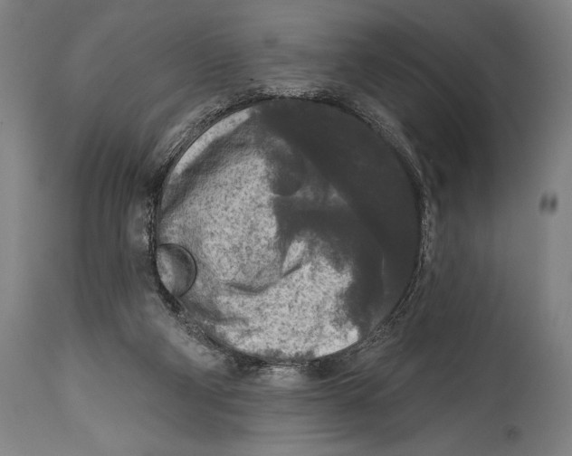 X0000114440114200911131524
