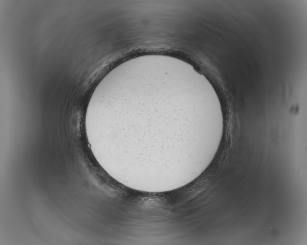 X0000114440115200911131524